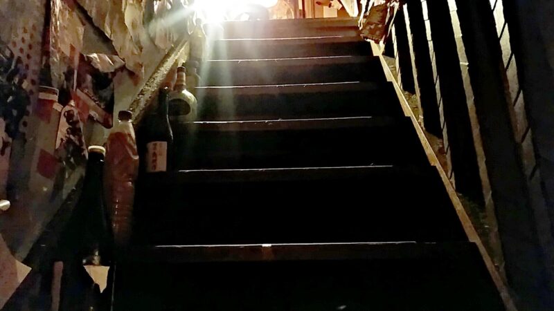 246の画像