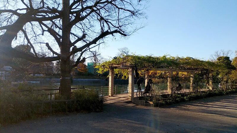 gakudai-1959の画像