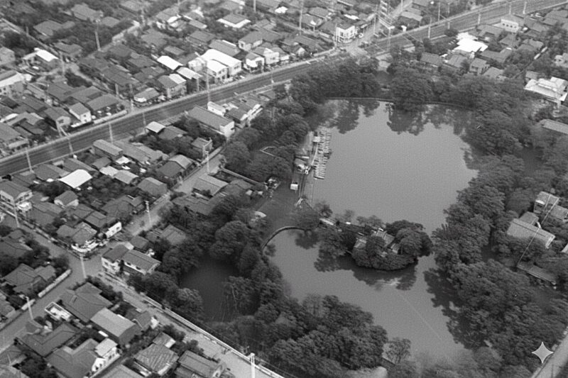 gakudai-1959の画像