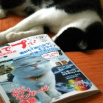 サムネイル画像